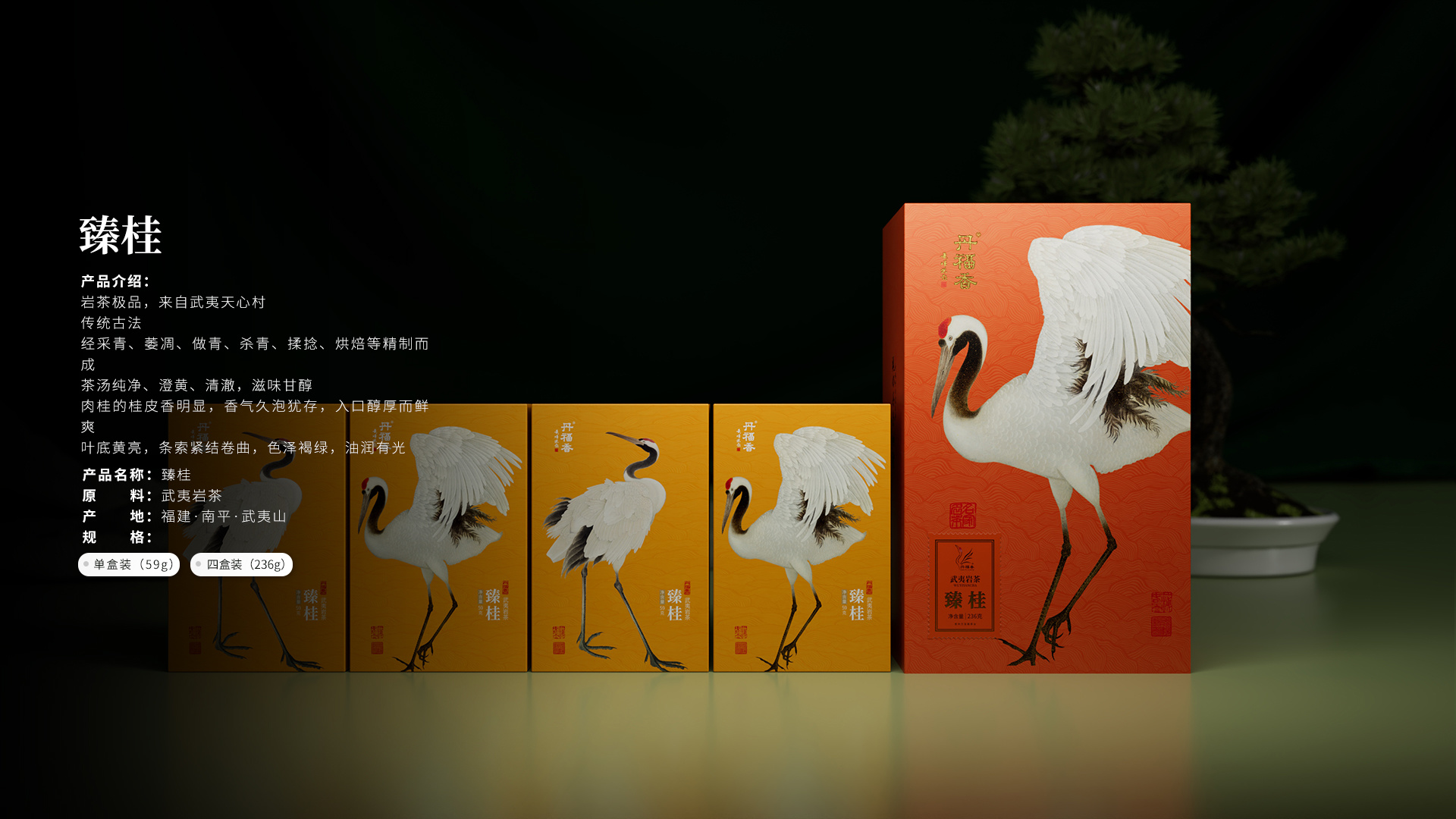 臻桂